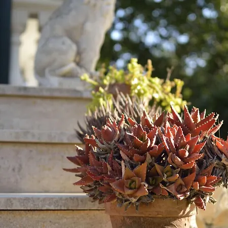 La Palude Del Conte Hotel *