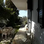 La Palude Del Conte * Punta Prosciutto